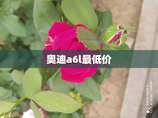 奥迪a6l最低价