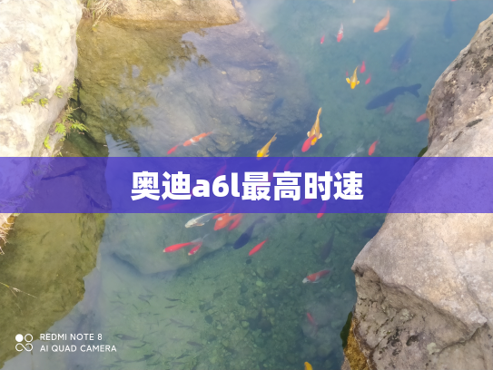 奥迪a6l最高时速
