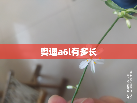 奥迪a6l有多长