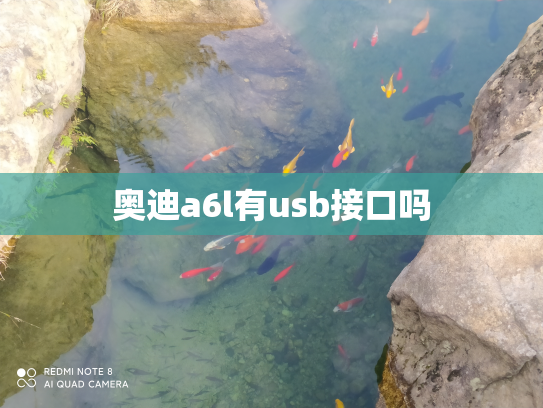 奥迪a6l有usb接口吗
