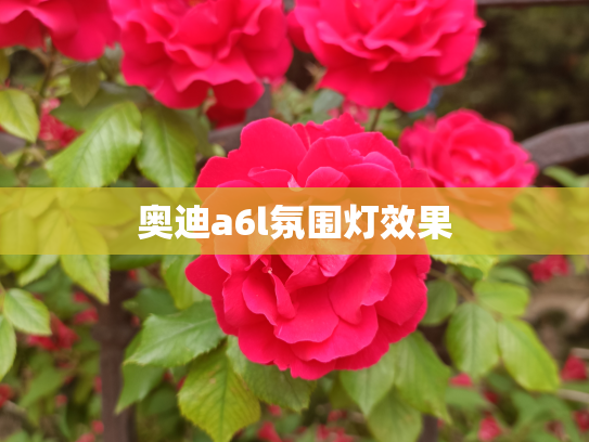 奥迪a6l氛围灯效果