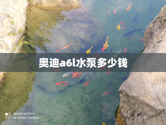 奥迪a6l水泵多少钱
