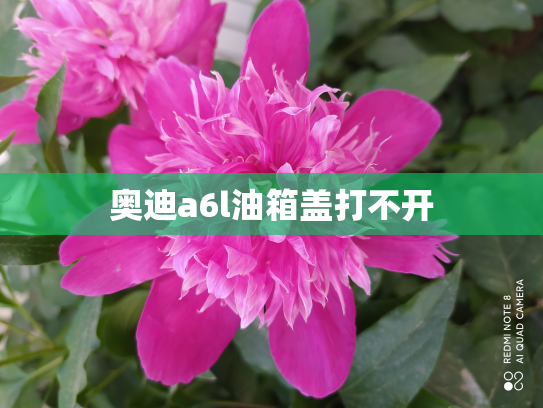 奥迪a6l油箱盖打不开