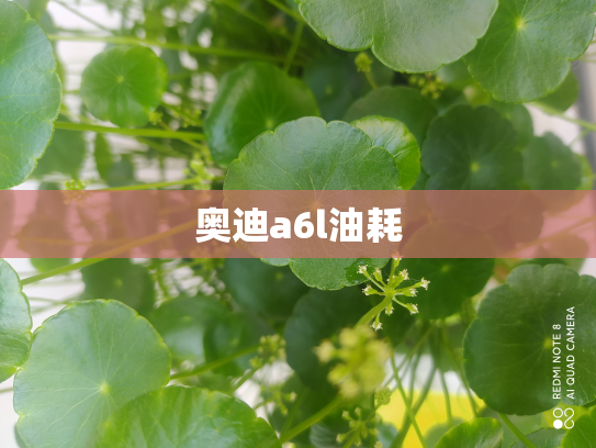 奥迪a6l油耗