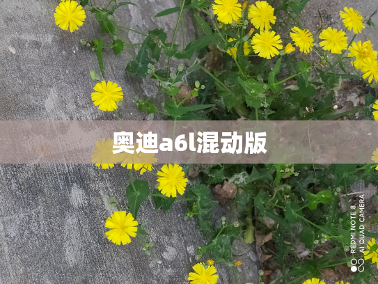 奥迪a6l混动版