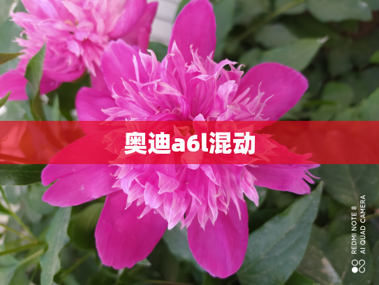 奥迪a6l混动
