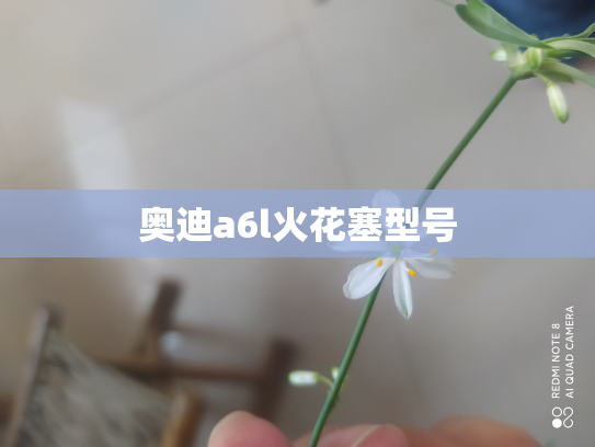 奥迪a6l火花塞型号