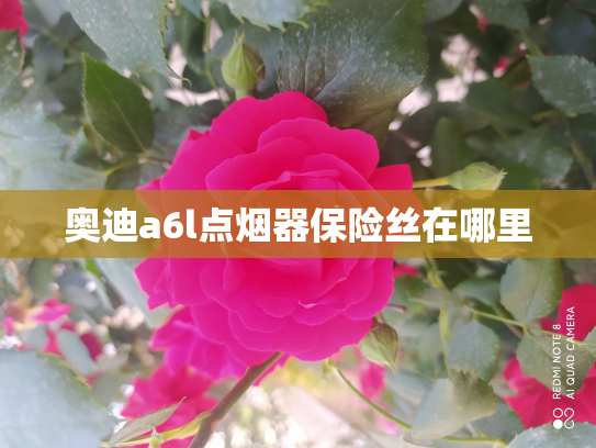 奥迪a6l点烟器保险丝在哪里