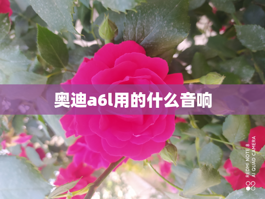奥迪a6l用的什么音响
