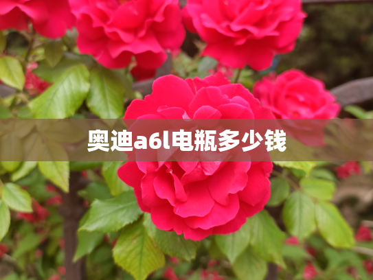 奥迪a6l电瓶多少钱