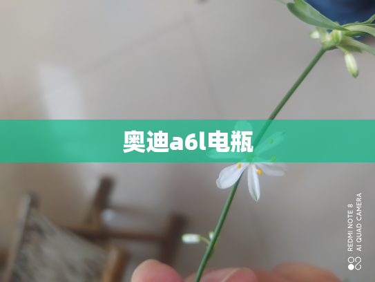 奥迪a6l电瓶