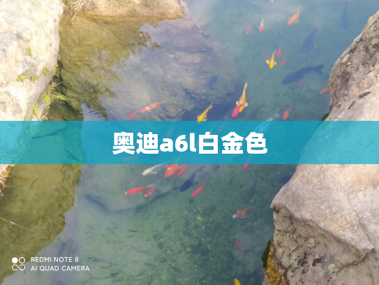 奥迪a6l白金色