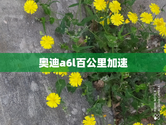 奥迪a6l百公里加速