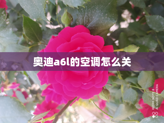 奥迪a6l的空调怎么关