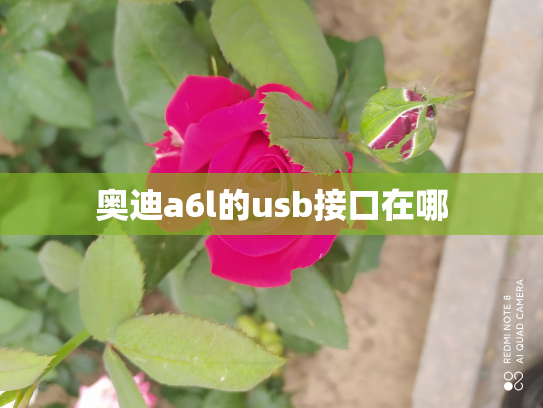 奥迪a6l的usb接口在哪