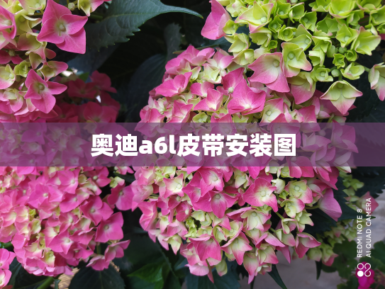 奥迪a6l皮带安装图