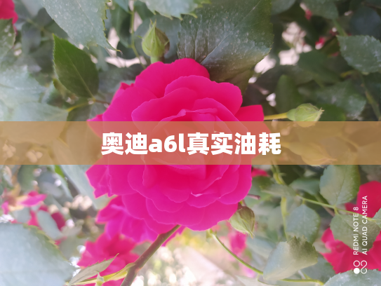 奥迪a6l真实油耗