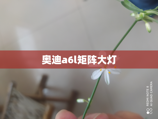 奥迪a6l矩阵大灯