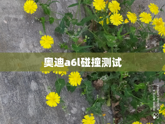 奥迪a6l碰撞测试