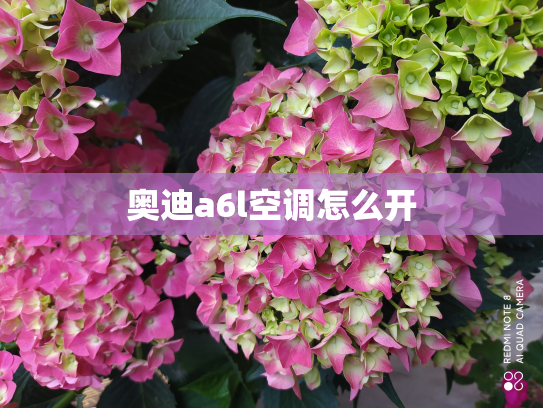 奥迪a6l空调怎么开