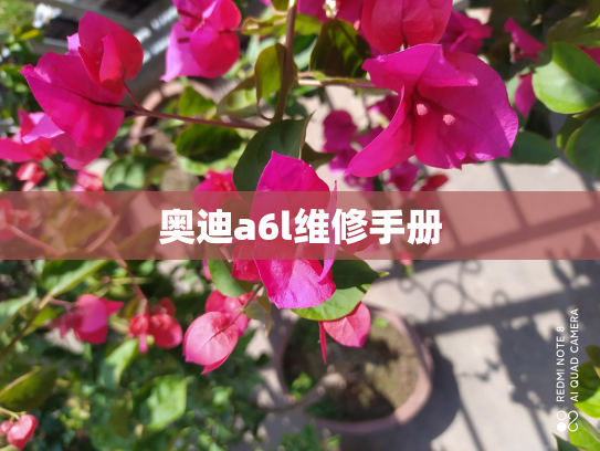 奥迪a6l维修手册