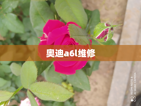 奥迪a6l维修