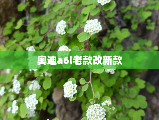 奥迪a6l老款改新款