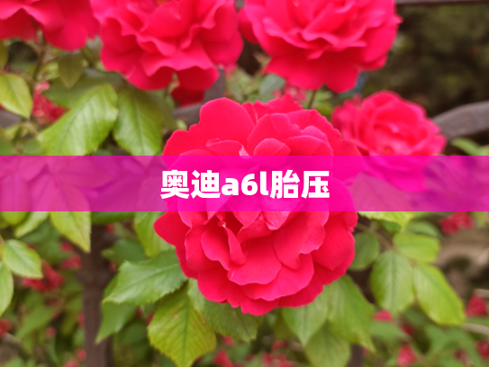 奥迪a6l胎压
