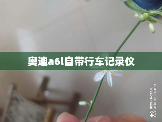 奥迪a6l自带行车记录仪