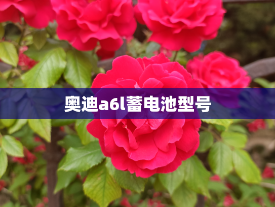 奥迪a6l蓄电池型号