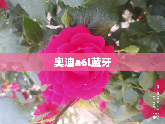 奥迪a6l蓝牙