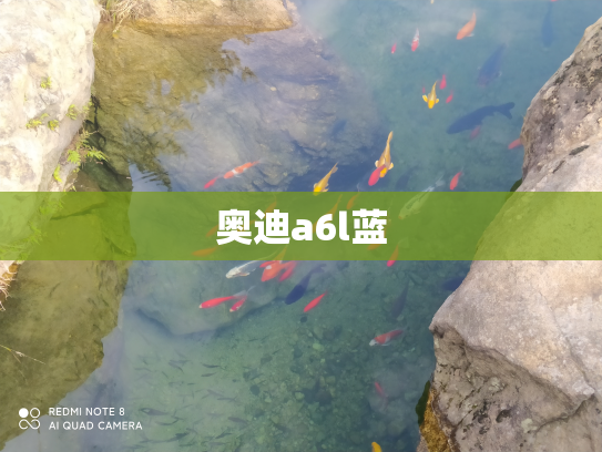 奥迪a6l蓝
