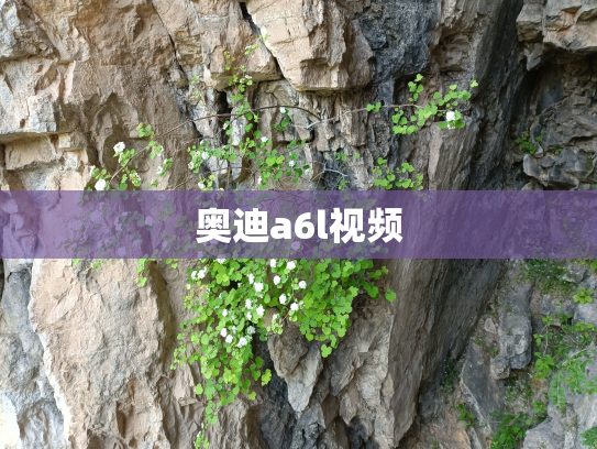 奥迪a6l视频