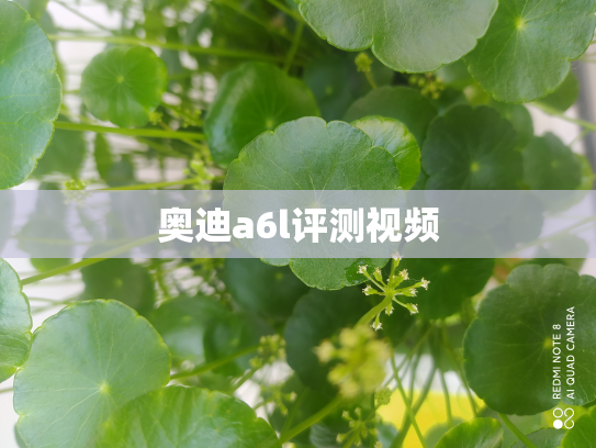 奥迪a6l评测视频