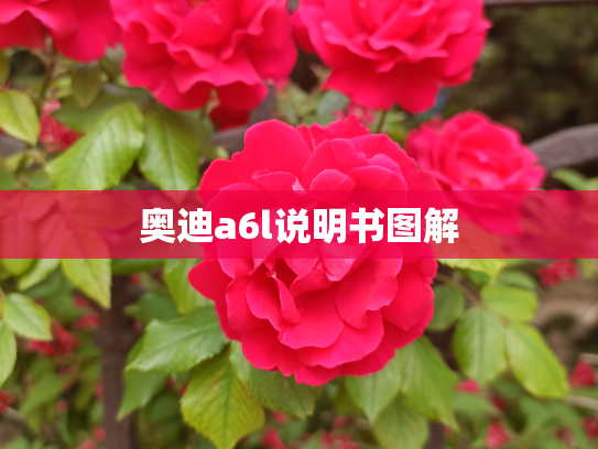 奥迪a6l说明书图解