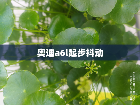 奥迪a6l起步抖动