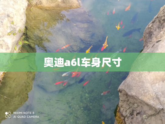 奥迪a6l车身尺寸