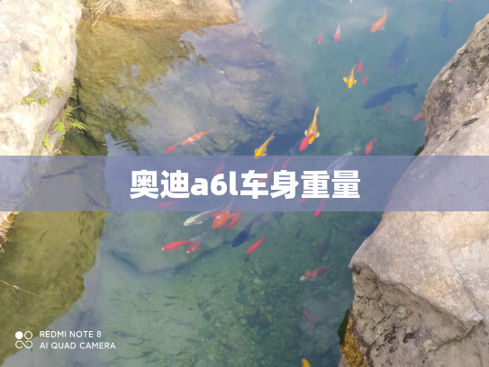 奥迪a6l车身重量