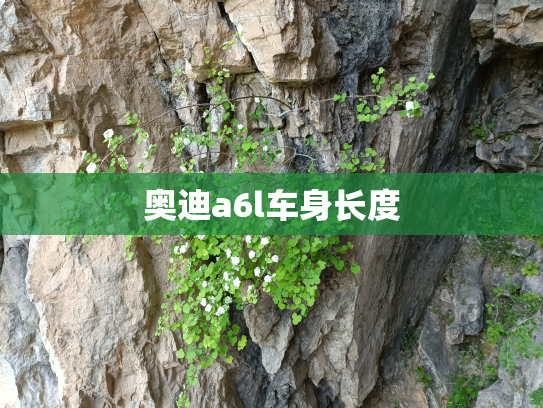 奥迪a6l车身长度