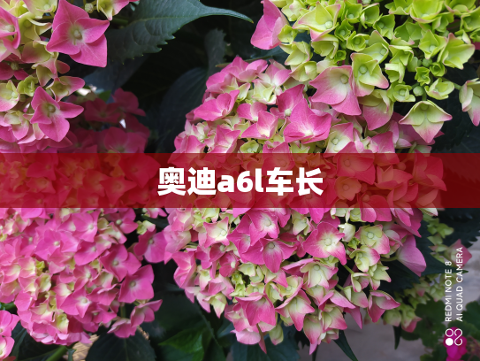 奥迪a6l车长