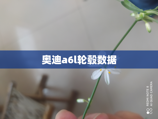 奥迪a6l轮毂数据