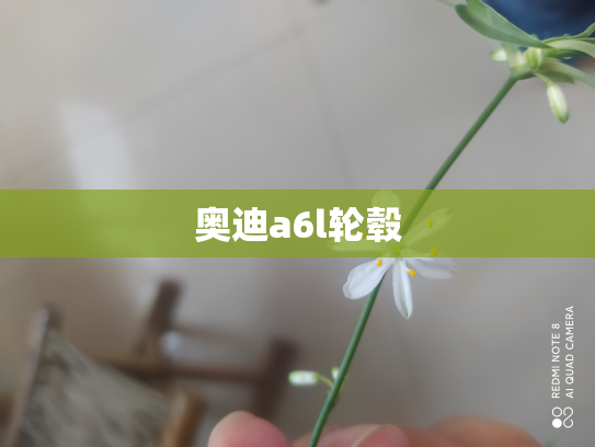 奥迪a6l轮毂