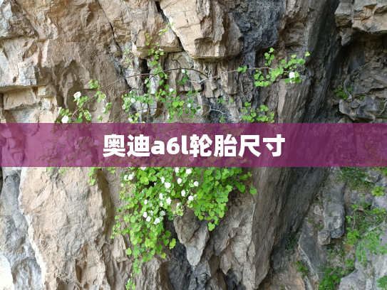 奥迪a6l轮胎尺寸