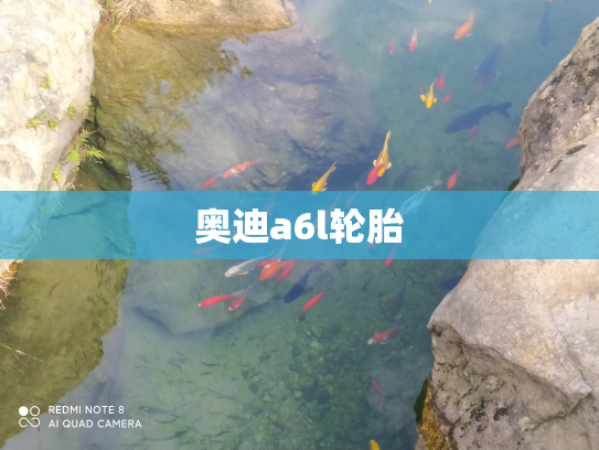 奥迪a6l轮胎