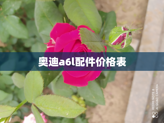 奥迪a6l配件价格表