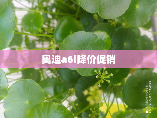 奥迪a6l降价促销