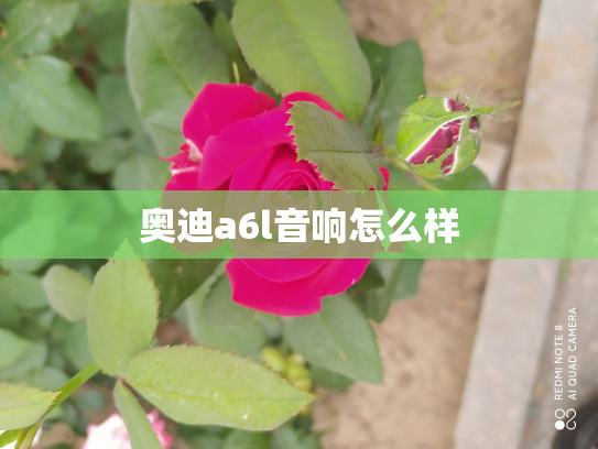 奥迪a6l音响怎么样