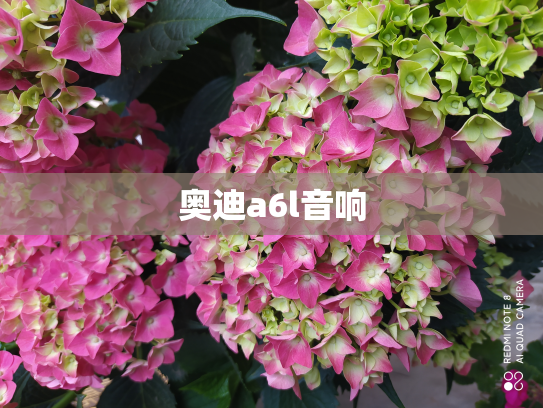 奥迪a6l音响