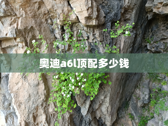 奥迪a6l顶配多少钱