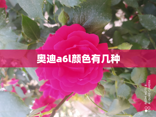 奥迪a6l颜色有几种